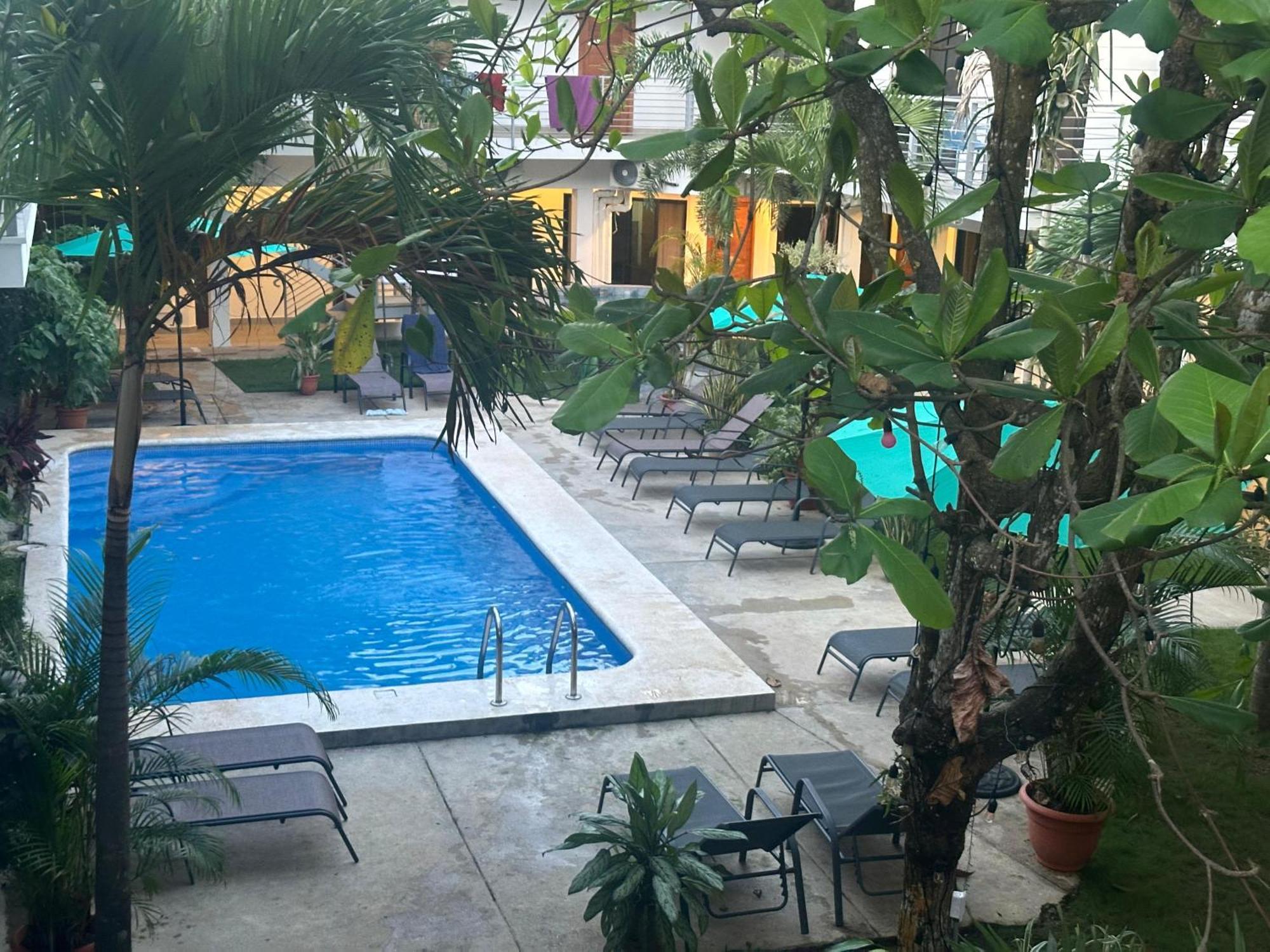 Private Fully Furnished Home At Wide Mouth Frog Hostel Quepos Ngoại thất bức ảnh